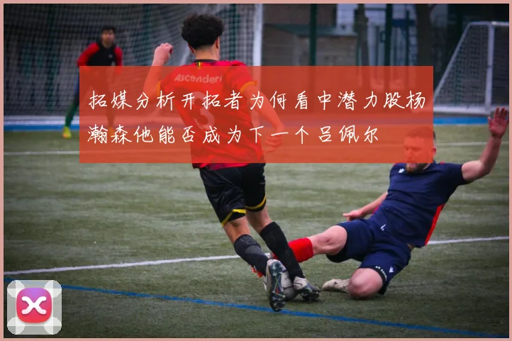 拓媒分析开拓者为何看中潜力股杨瀚森他能否成为下一个吕佩尔